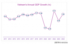 越南经济演讲（2024）：P商业外国间接投