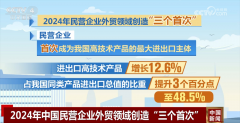 透过数据看2024年平易近营企业外贸成就单 三大类